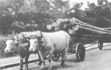 Transports de bois